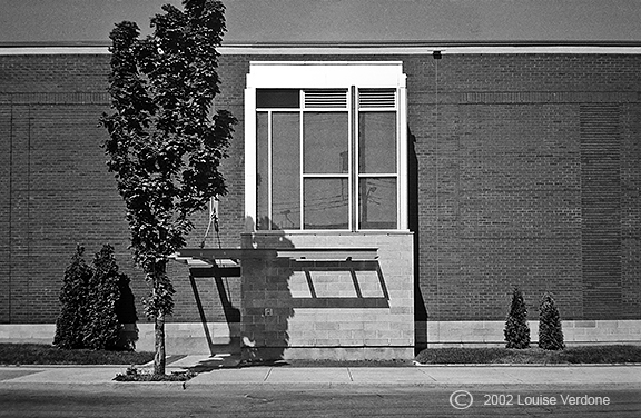 Tree and Shrubs