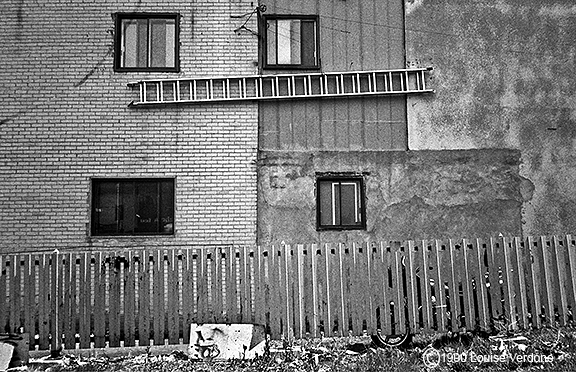 Ladder and Fence