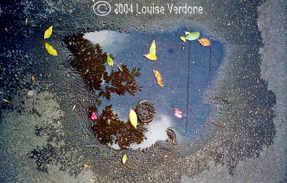 Puddle 14