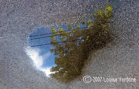 Puddle 4