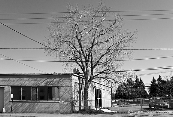 Wires and Tree