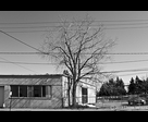 Wires and Tree