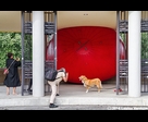 Red Ball at Park Lafontaine 1