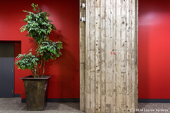 Plant and Red Wall