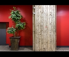 Plant and Red Wall