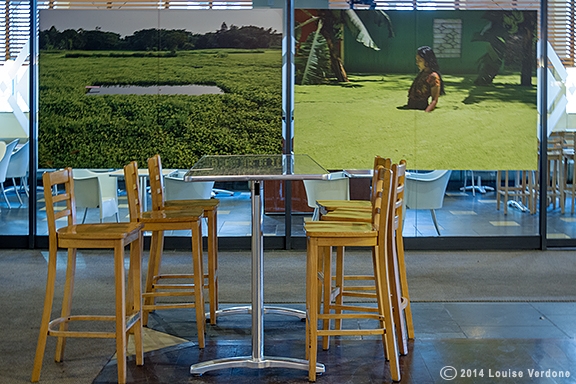 Wooden Chairs and Greenery