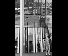 Woman Around a Glass Building