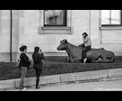 Femmes et sculpture d’une vache