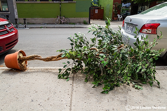 Arbre en plastique