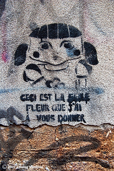 La fleur à donner