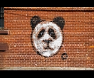 Panda triste