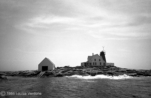 Lighthouse Island with Dog