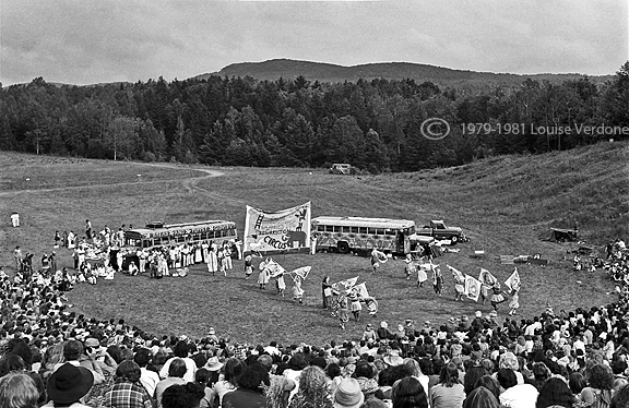 Circus in a Field