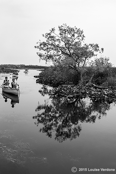 Marsh Canoeing