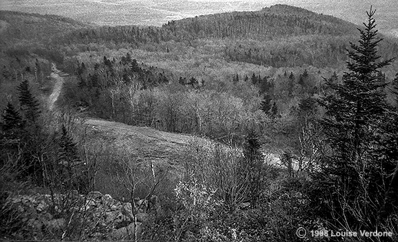 Leafless Mountain