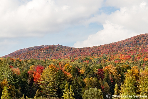 Montagne d’automne