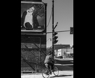 Tousled Hair and Cyclist