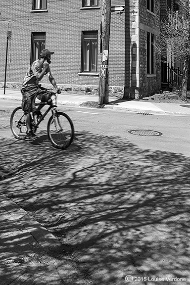 Ombre d’arbre et cycliste