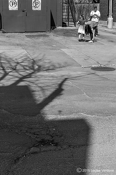 Tree Shadows and Familly