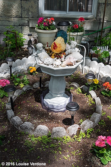 Chicken in a Garden