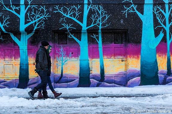 Forêt d'hiver