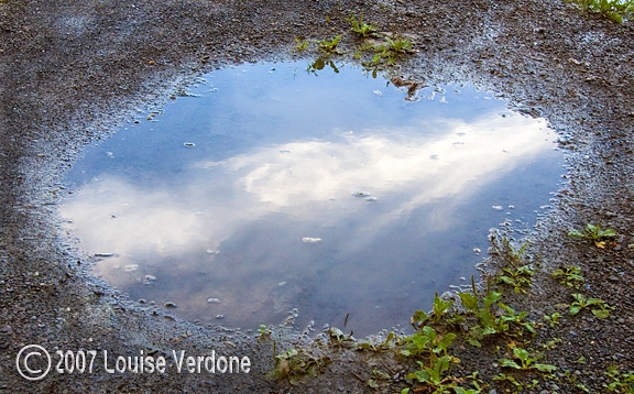 Puddle 7