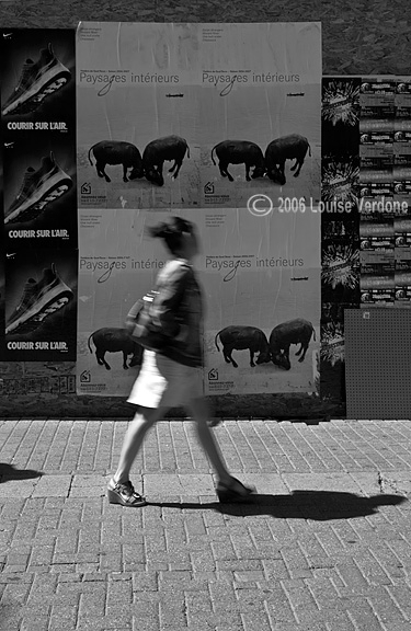 Femme floue avec affiches d'animaux