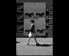 Blurred Woman with animal posters