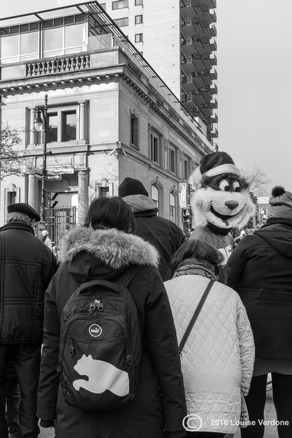 Giant Stuffed Bear in Crowd