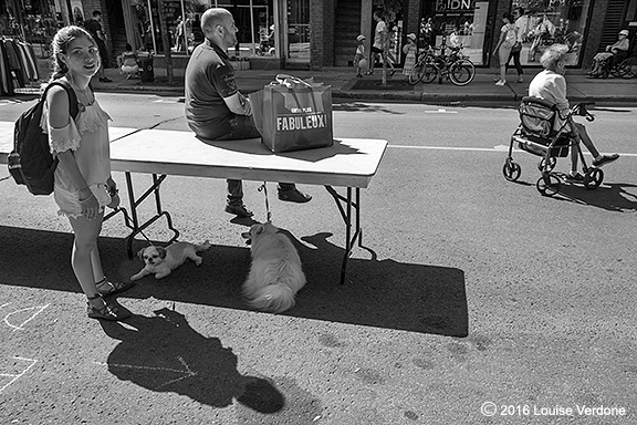 Dogs in the Shade