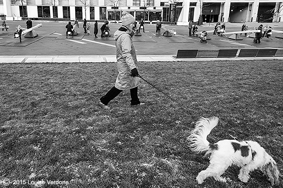 Promener le chien