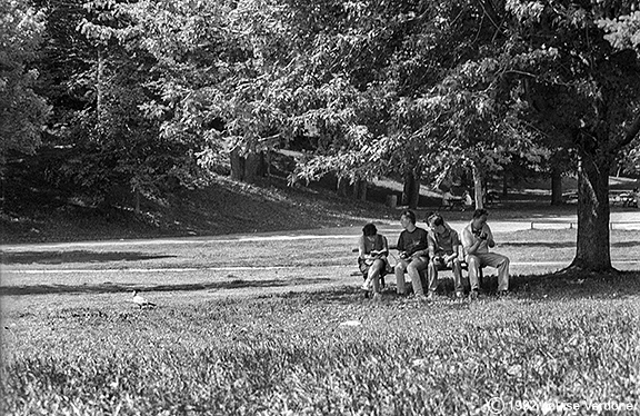 At the Picnic Table