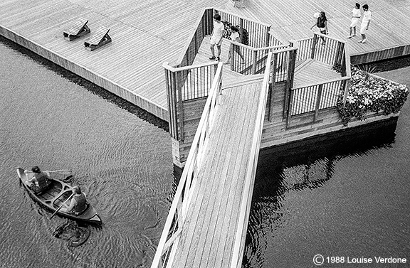 The Paddle Boat