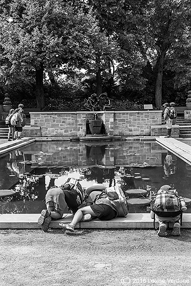 Pond Watching