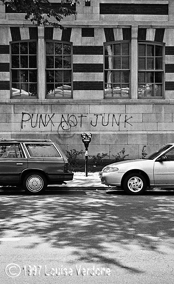 Punx not junk