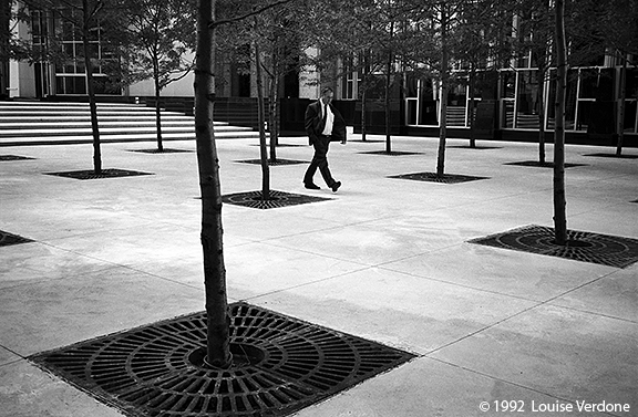 Man and Trees