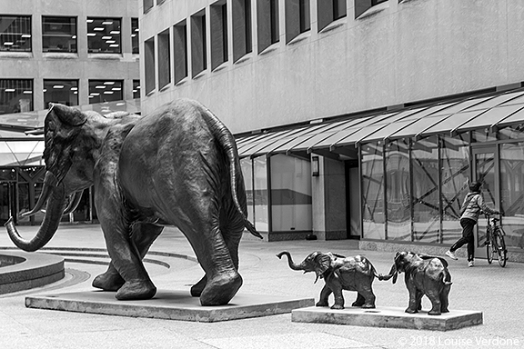 Cycliste et sculpture d'éléphants