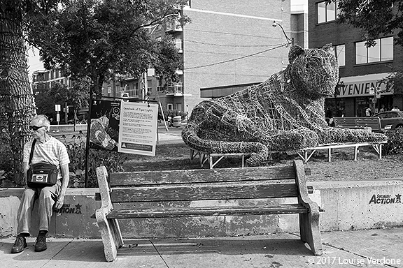 Sculpture de tigre éteinte et homme assis