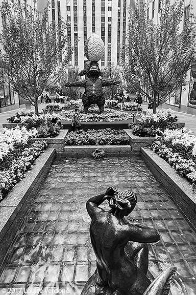 Sculpturesi, Flowers and Water