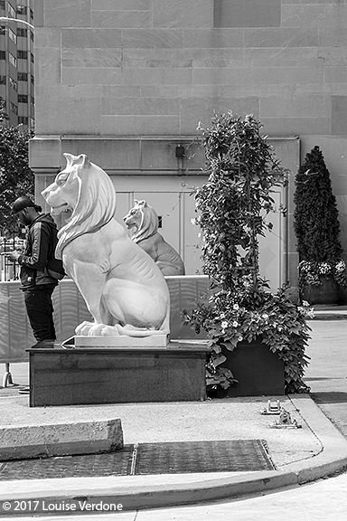 Debout près de sculptures de lions