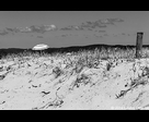 Beach Umbrella