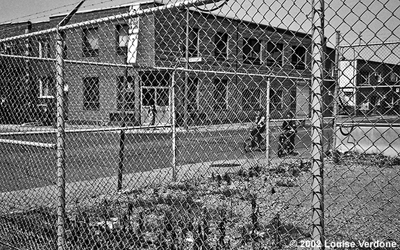 Enfants en vélo en cage