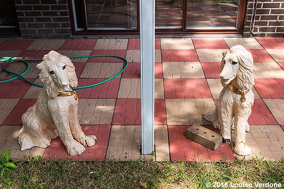 Chiens de jardin