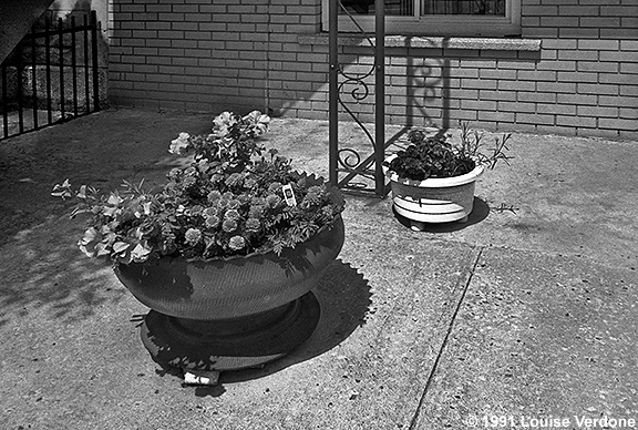 Deux pots dans un jardin