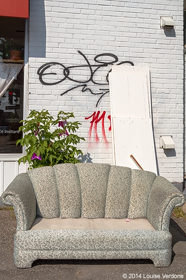 Couch and Plant