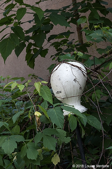 Styrofoam Head