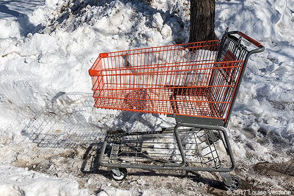 Grocery Cart