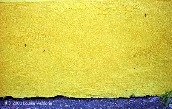 Yellow, Blue and Bugs