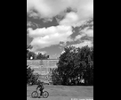 Riding in Front of a Vacant Lot