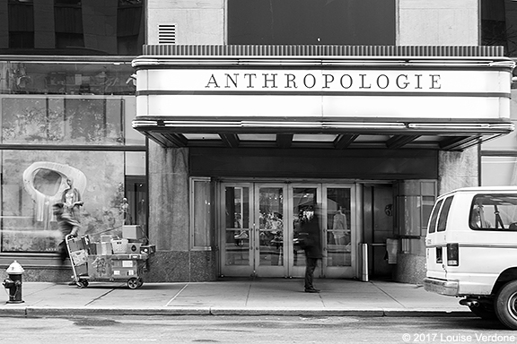 Anthropologie